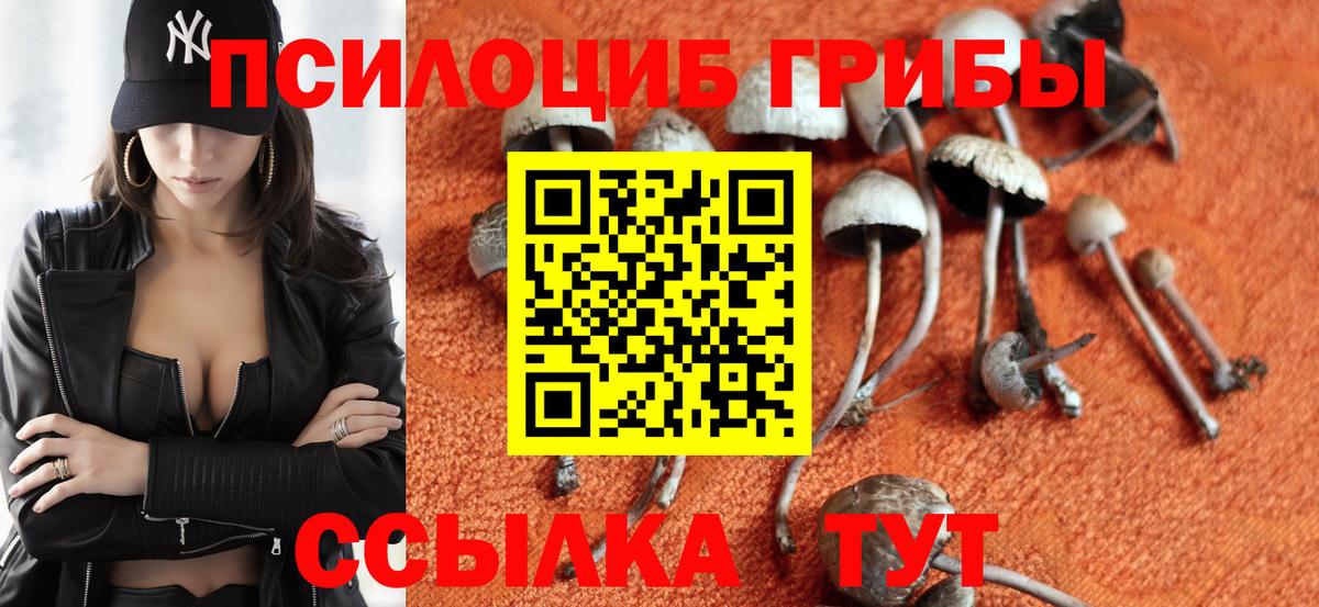 Галлюциногенные грибы мухоморы  Вход с VPN  Балашиха 